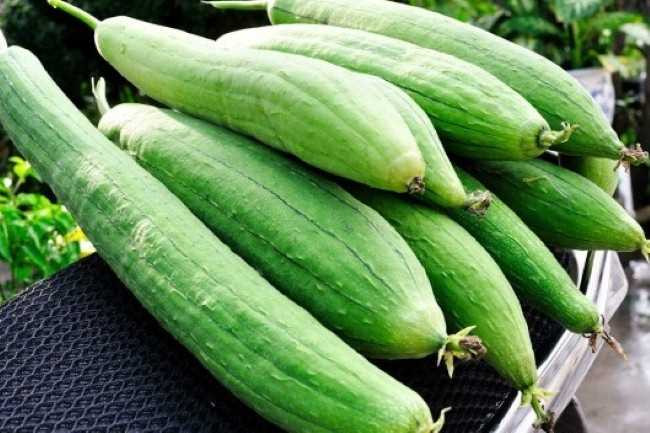 mm (8) (Custom)_NJFX