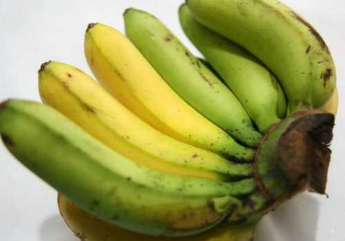 Nải chuối chín cây với quả chín lác đác. Ảnh: W.P