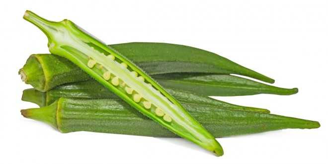 ky-thuat-trong-cay-dau-bap-02