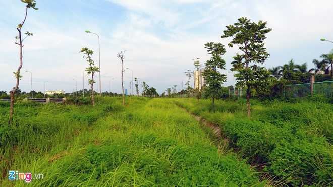 Co dai um tum suot 24 km Dai lo Thang Long hinh anh 5