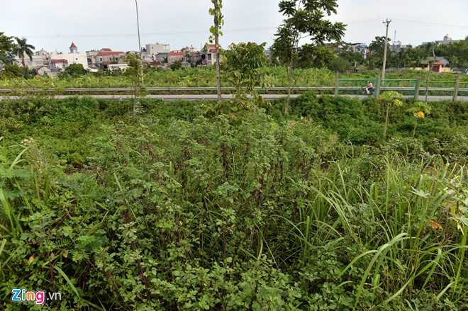 Co dai um tum suot 24 km Dai lo Thang Long hinh anh 8