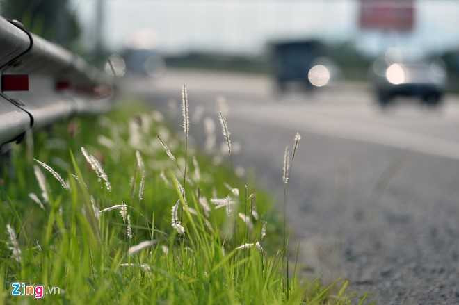 Co dai um tum suot 24 km Dai lo Thang Long hinh anh 9