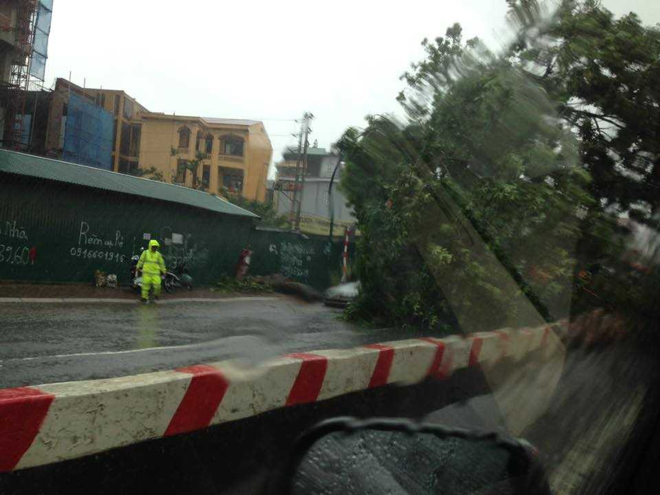 13934791_961514160643400_4525045861543896840_n