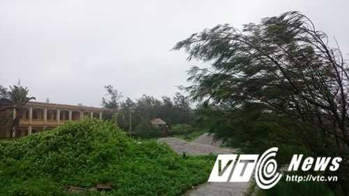 14081425_1359047924109695_1140888741_n