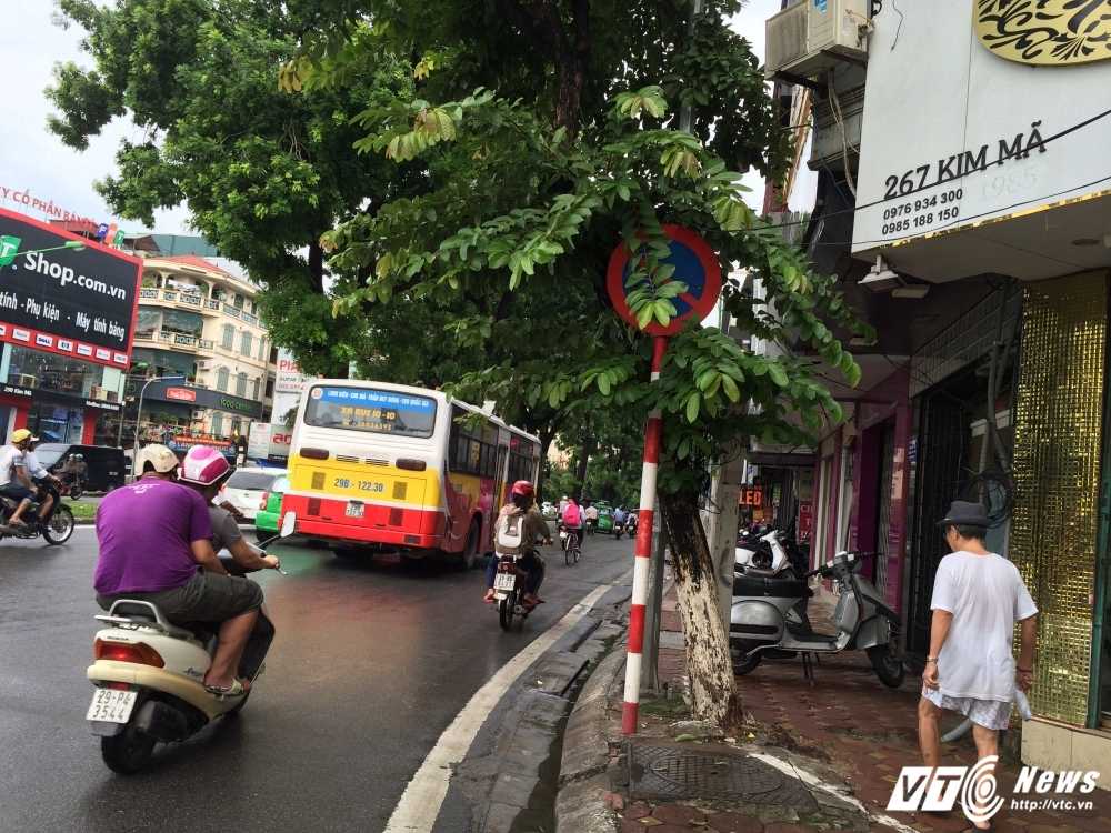 La cay che gan het bien bao giao thong, co cung nhu khong tai duong Kim Ma-3