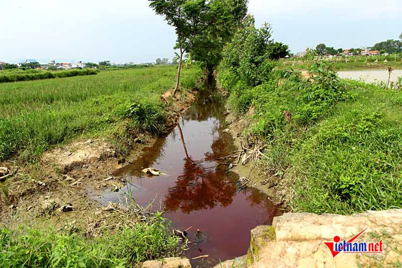 20160901105955-anh-7