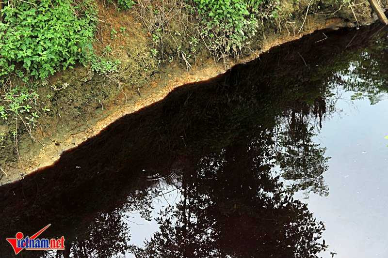 20160901110100-anh-2