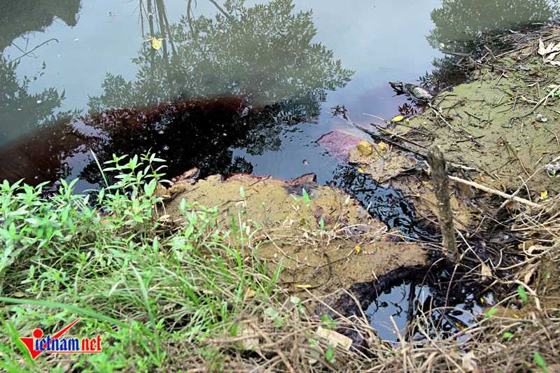 20160901110251-anh-3