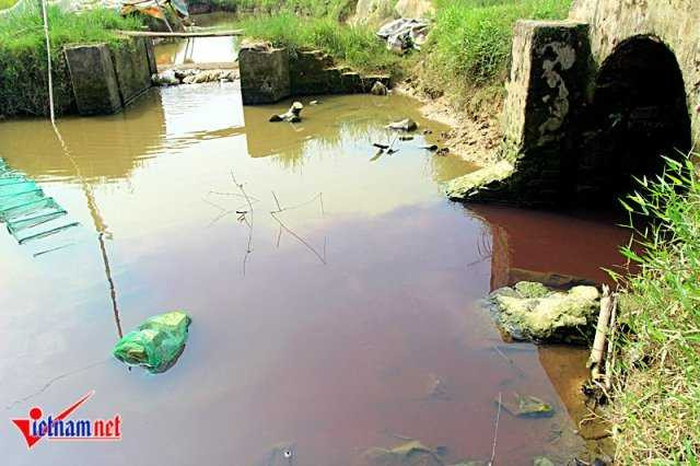 20160901110700-anh-5