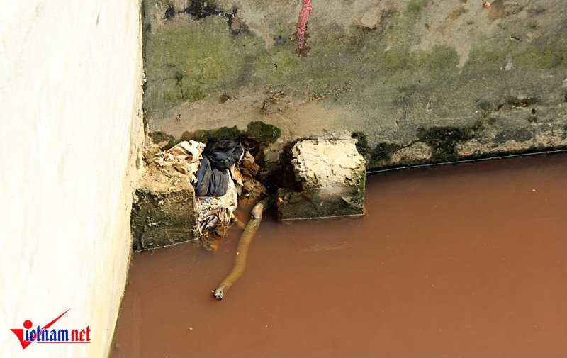 20160901110944-anh-7