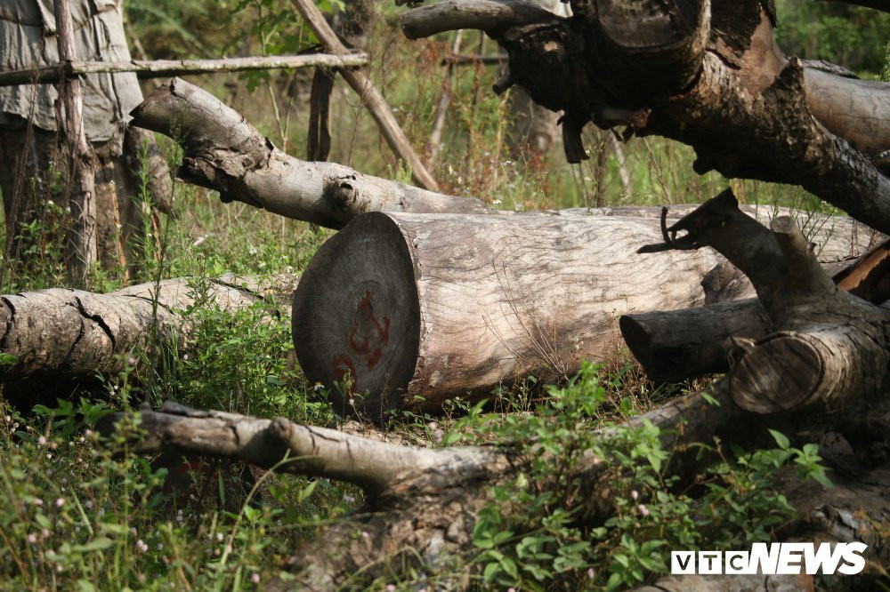 xa cu danh chuyen (11) 10