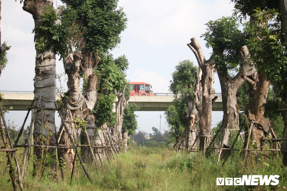 xa cu danh chuyen (12) 11