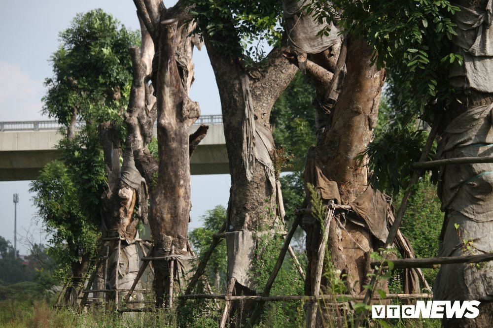 xa cu danh chuyen (13) 12