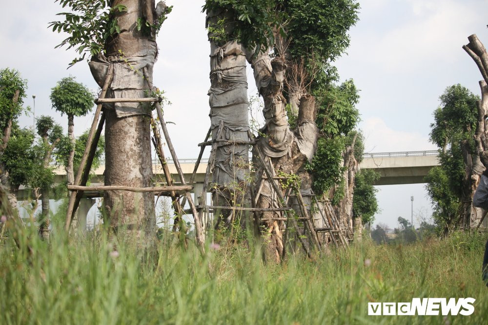 xa cu danh chuyen (15) 14