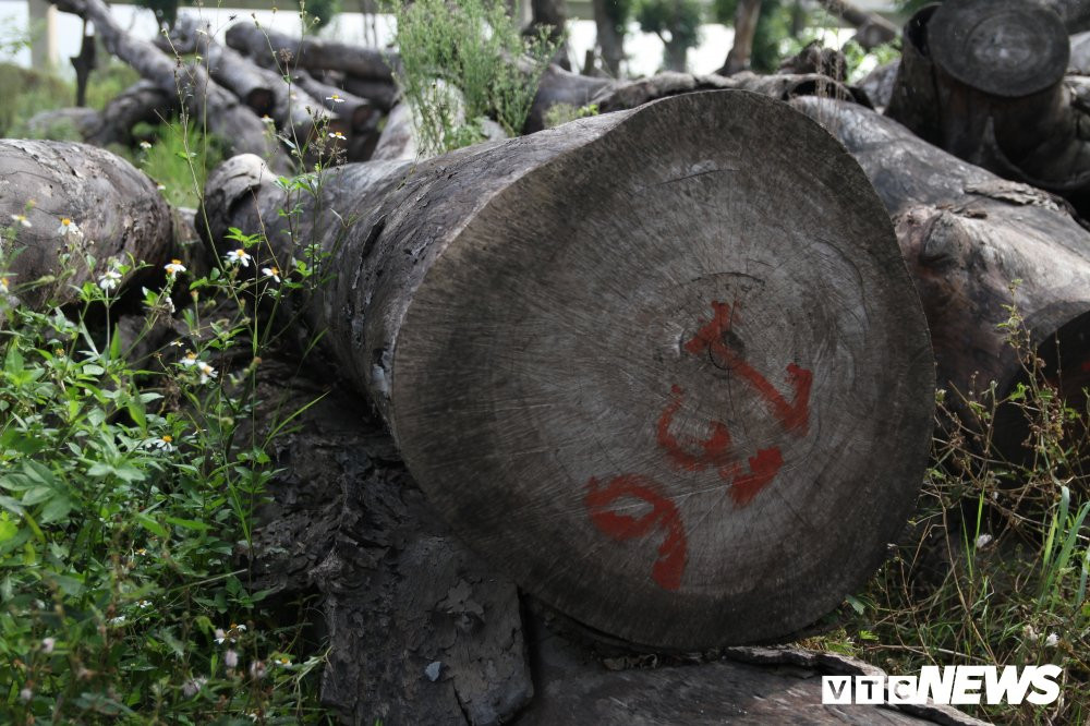 xa cu danh chuyen (18) 17