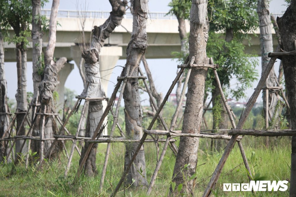 xa cu danh chuyen 19