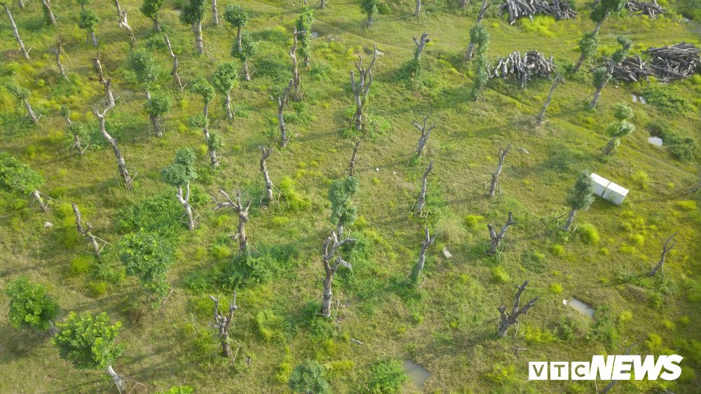 xa cu danh chuyen (20) 19