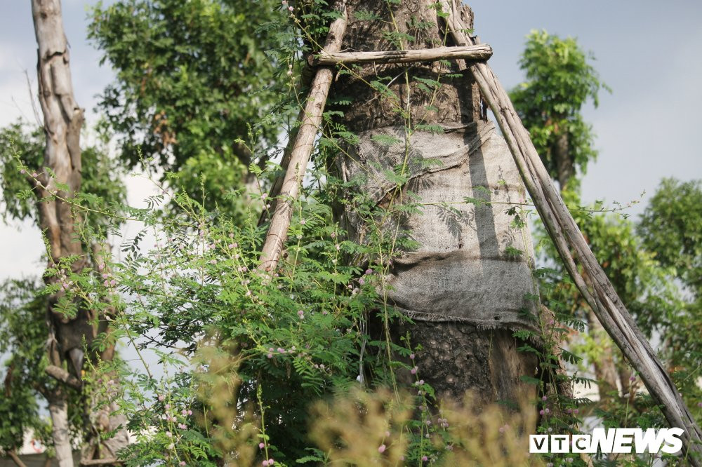 xa cu danh chuyen (6) 21