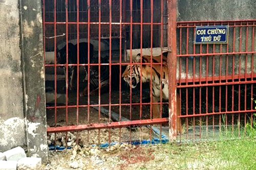 ho-1-7789-1559734964