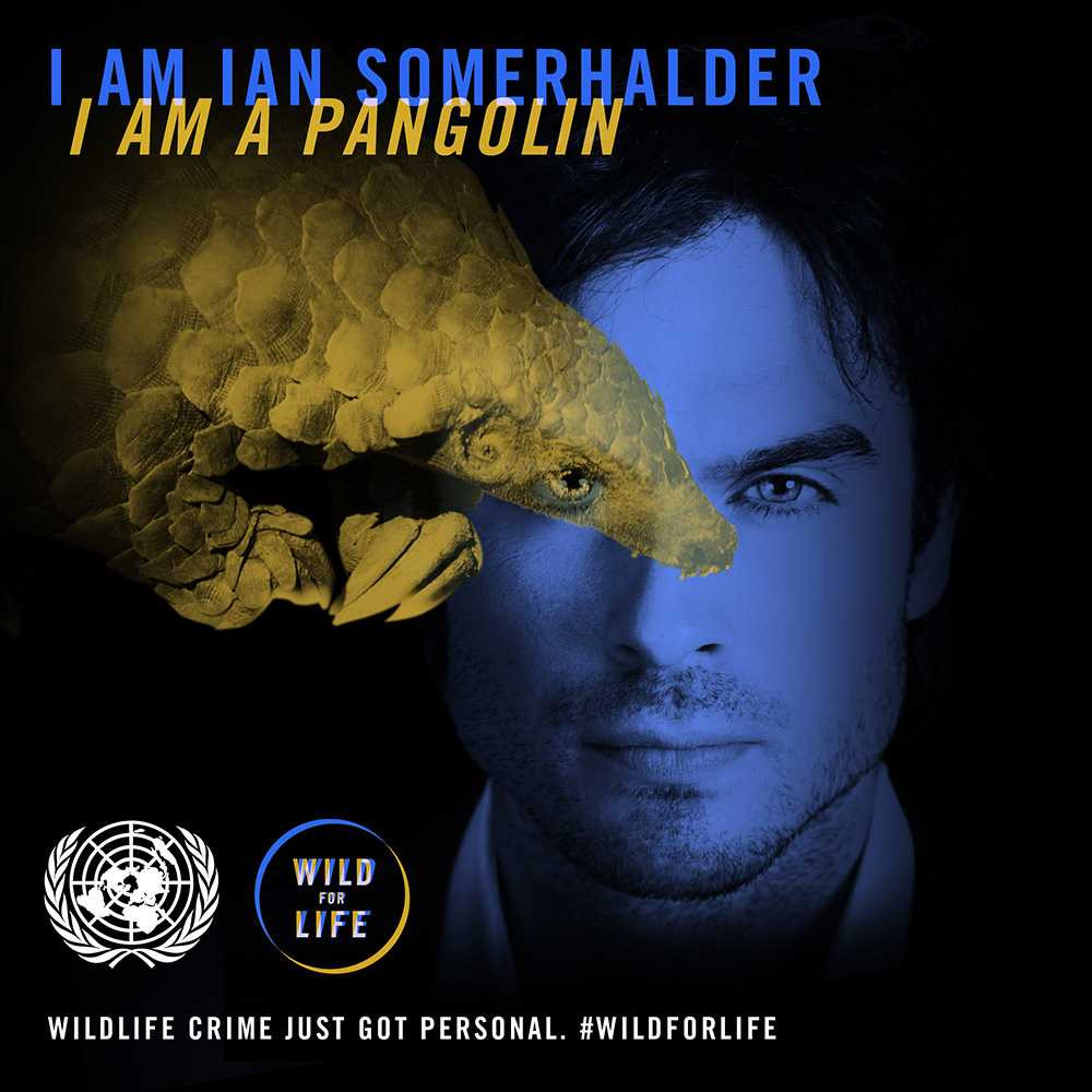 IanSomerhalder_text
