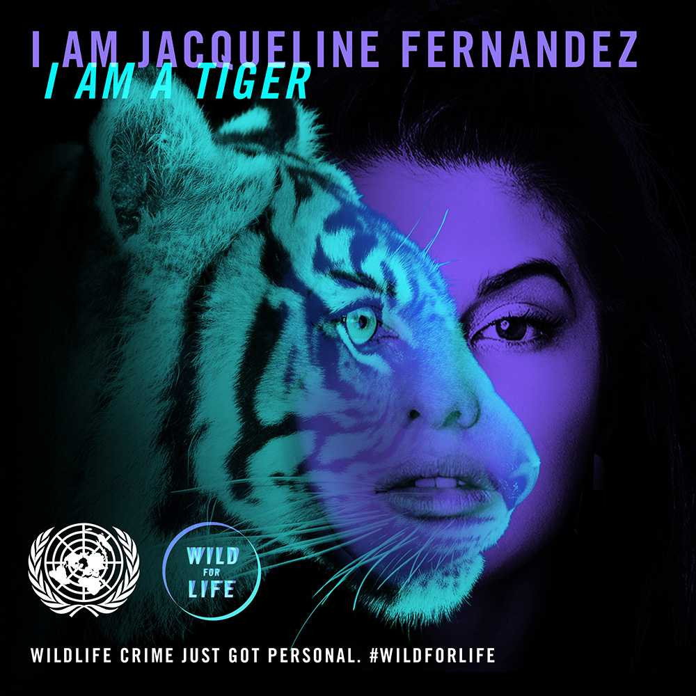 JacquelineFernandez_text