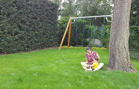 13344663_1021882384562554