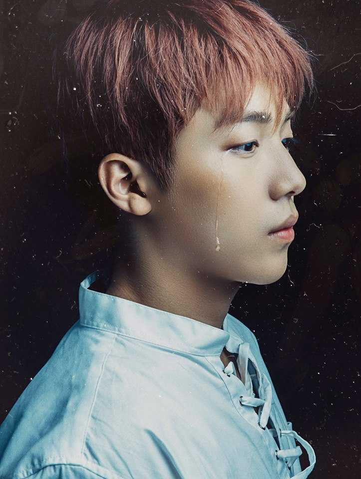 14650542_259793154422598_6279420976258828621_n