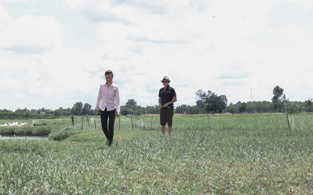 Hoang Oanh - Quang Minh