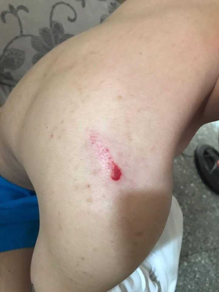 16487560_2214158505475280