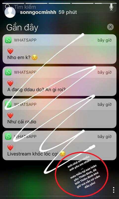17156306_270138746752687_