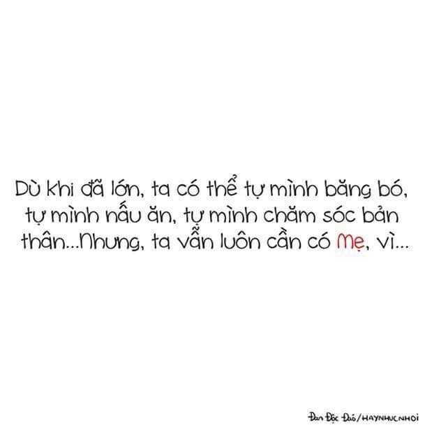 17201062_1209433902459239