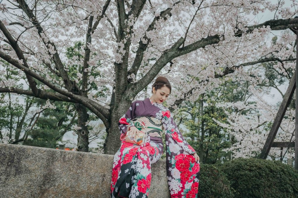 Hinh anh Thich thu voi hinh anh Bao Anh hoa geisha tren dat Nhat