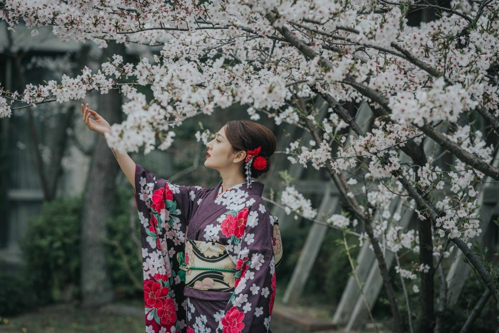 Hinh anh Thich thu voi hinh anh Bao Anh hoa geisha tren dat Nhat 7