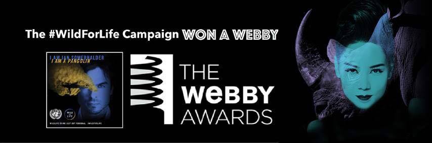 Hinh anh Thu Minh, Thanh Hang ‘dot chay’ san khau tai Da Nang