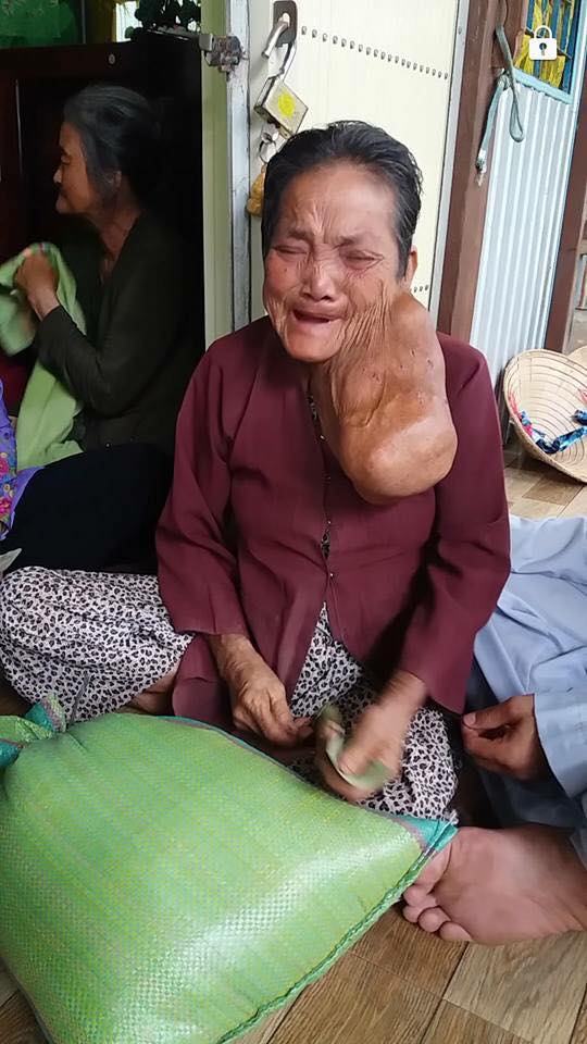 19601451_1425223454233097_9118241605979164483_n