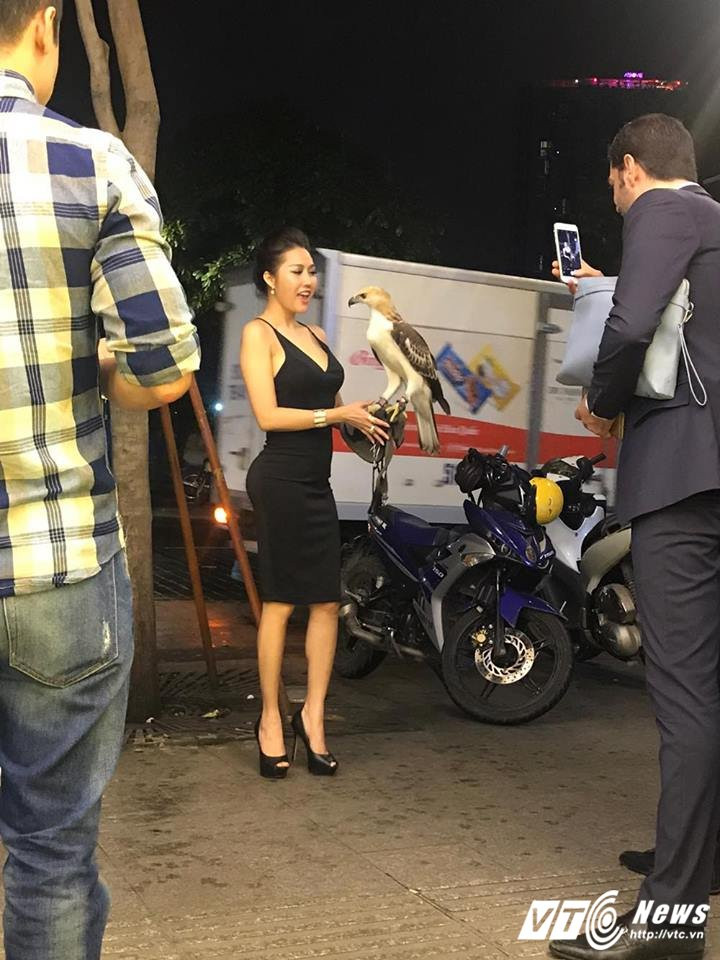 20915998_1768809870082947_1211990577_n 6