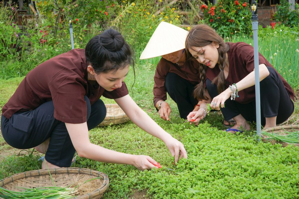 03 SI THANH - QUYNH CHI TRAI NGHIEM LAM VUON TAI LANG RAU TRA QUE (3) 7