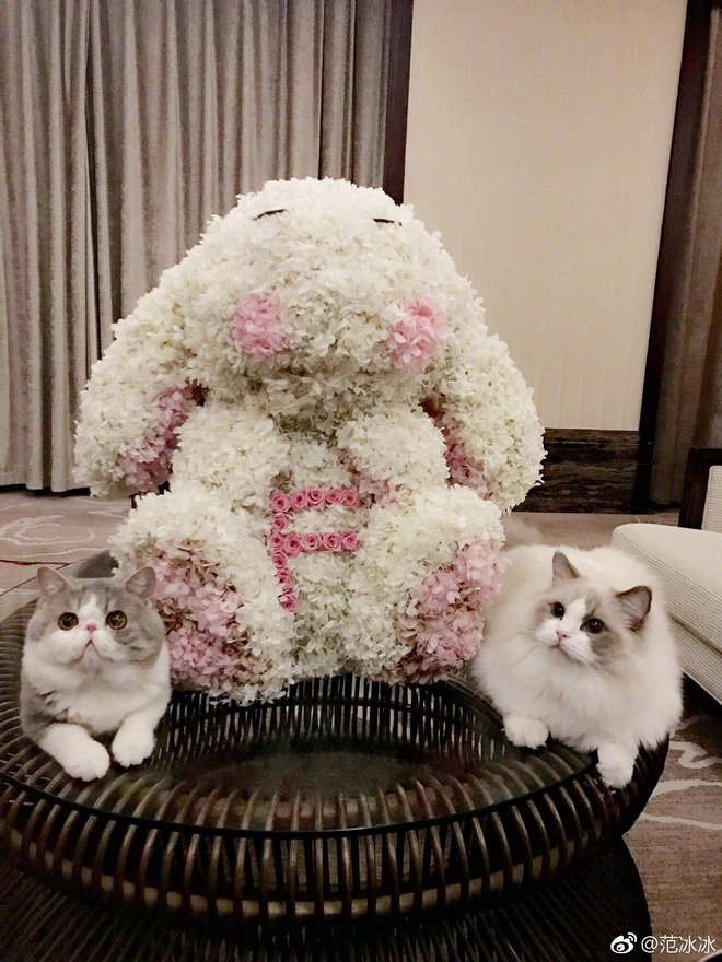 Phạm Băng Băng khoe ảnh tình tứ bên Lý Thần, trực tiếp đập tan tin đồn chia tay - Ảnh 1.