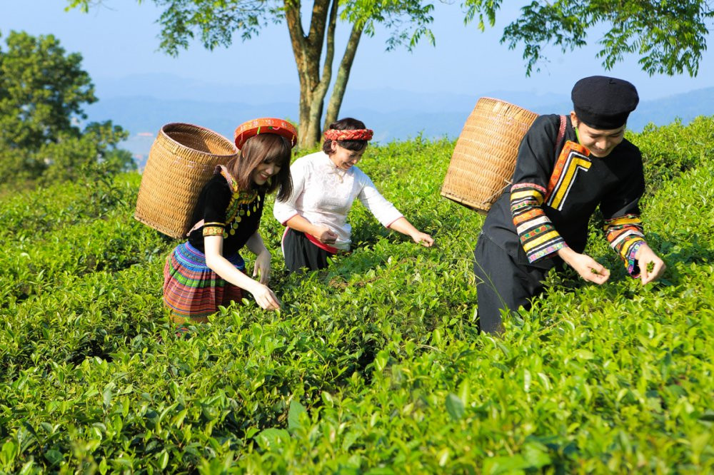 01 HARI WON & BB TRAN TAI DOI CHE (5) 3