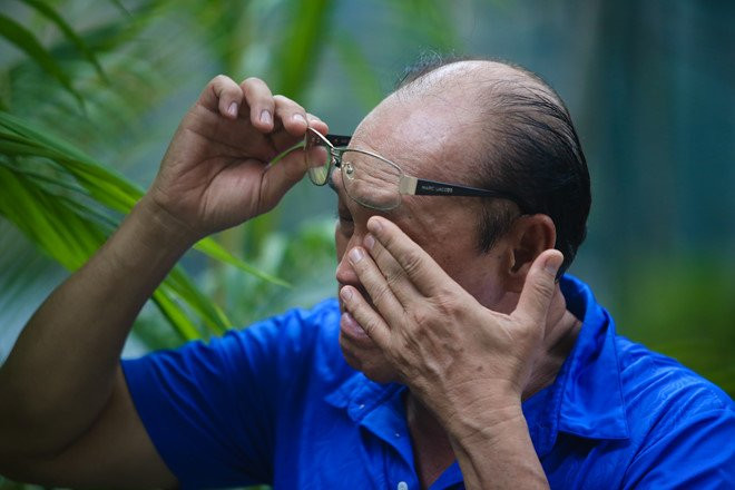 Toa moi Duy Phuong va HTV, NSX Sau anh hao quang den hoa giai hinh anh 1