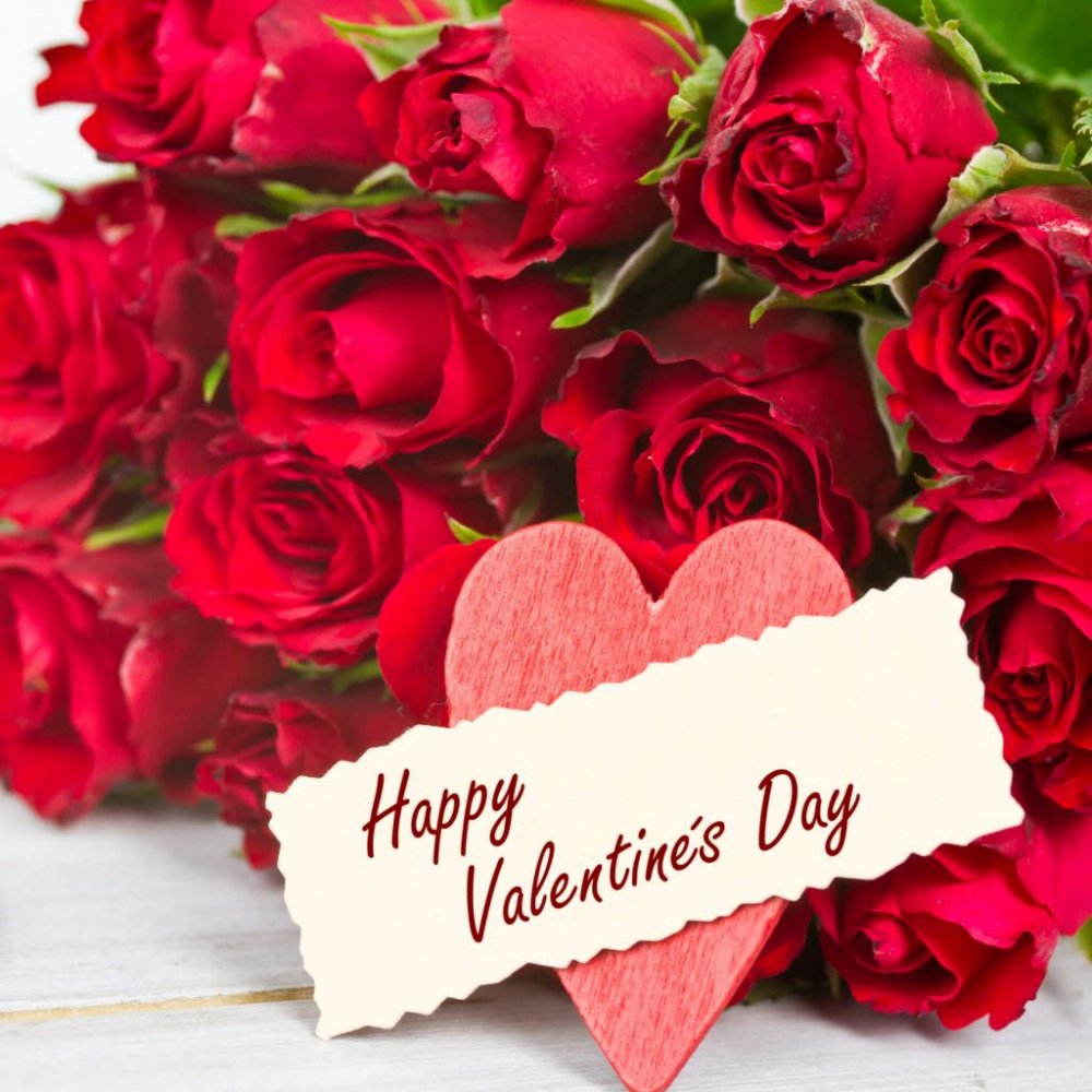 nhung-bo-hoa-hong-tang-nguoi-yeu-ngay-14-2-happy-valentine-day-8 3