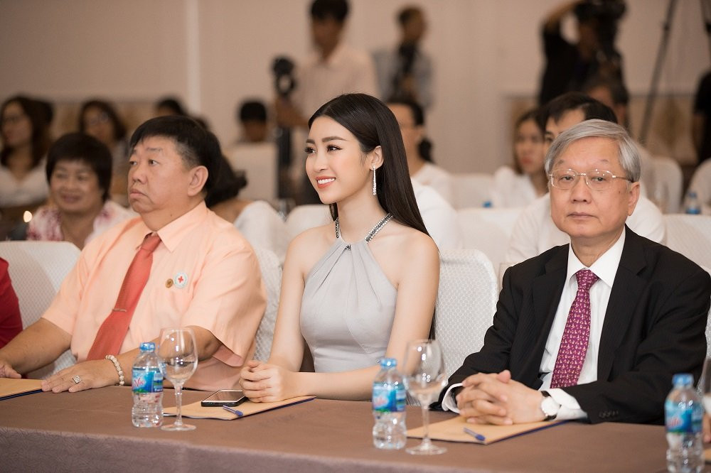 Hoa hau Do My Linh (3) 3
