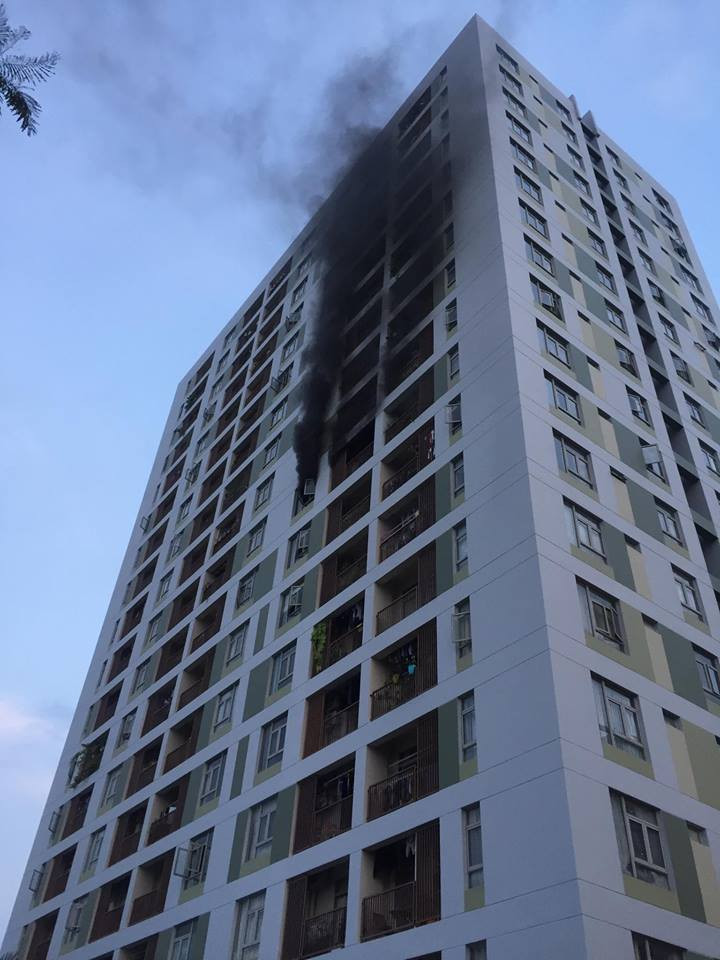 29595510_1871858046222152_8760839877077136610_n