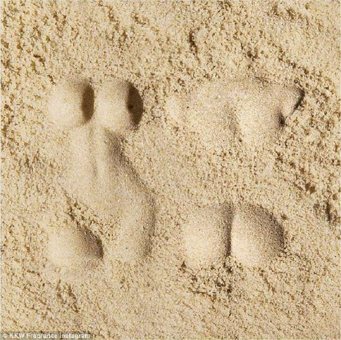 4b821c4100000578-5652021-image-a-481524590322283-15246294808381028483145-1245211 4