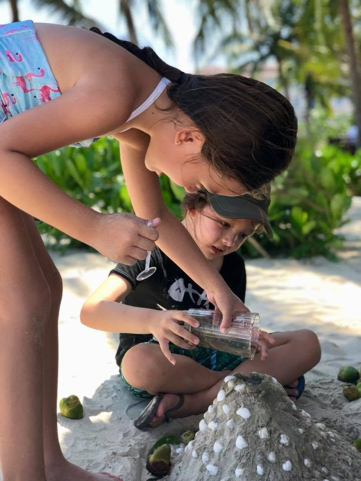 31588112_10156048492802819_7523092181989457920_n