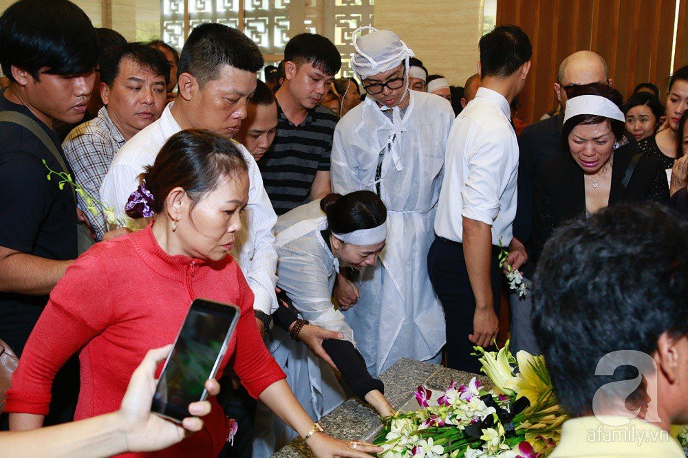 mg5215-15328313216451247648457 7