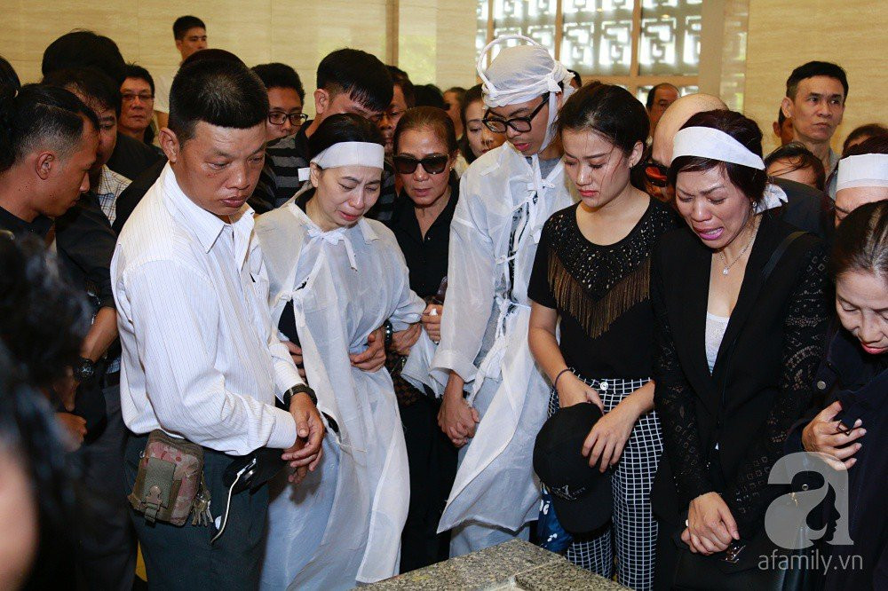 mg5217-15328313216531650941755 7