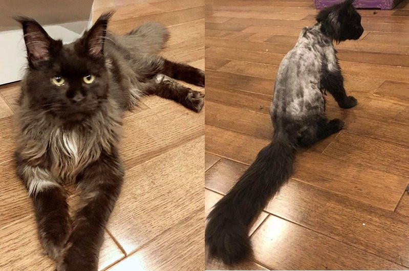 41135327_2297362896959685_1250322145880309760_n