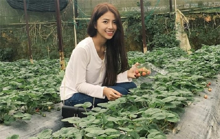 phan manh quynh va ban gai (4) 10