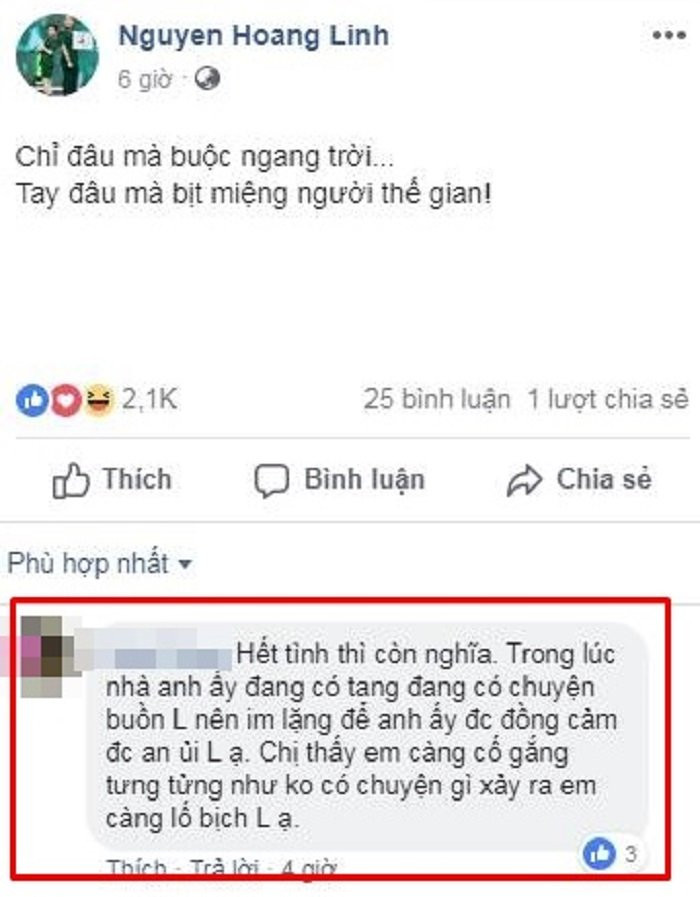 hoang linh chi trich antifan (1) 8